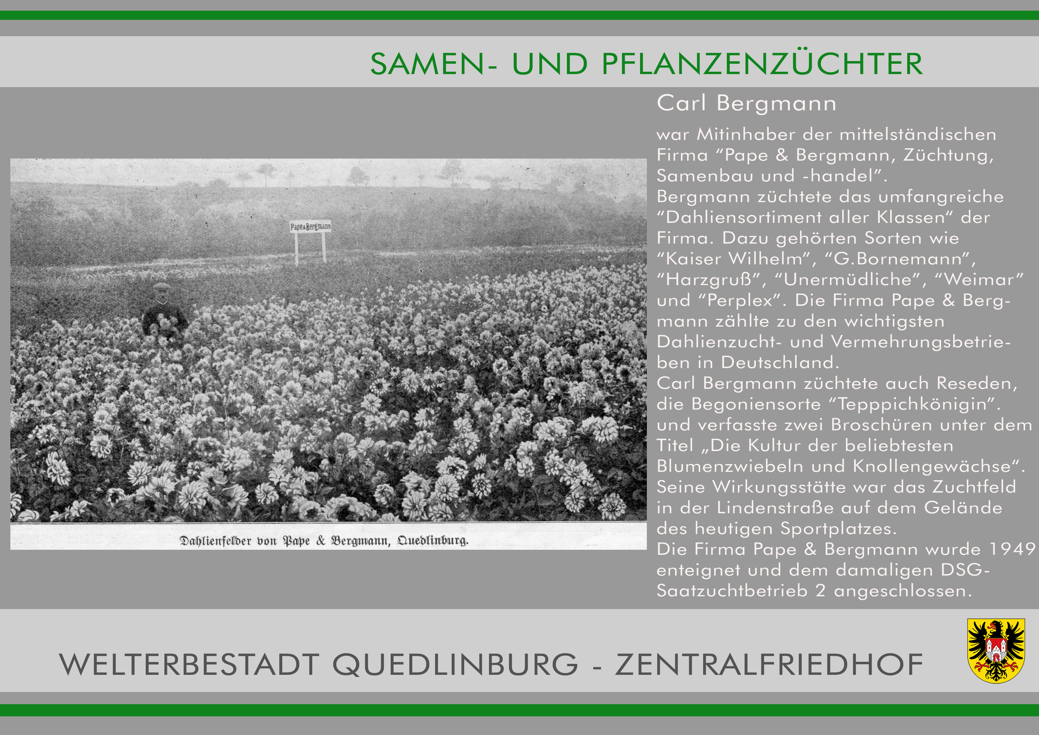 Zentralfriedhof 3  Carl Bergmann