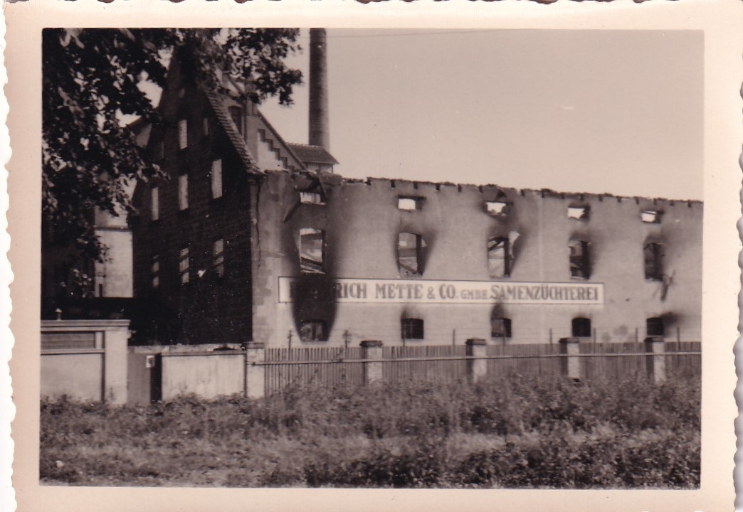 Feuer Mette und Co Samenzüchterei Archiv Familie Weise 18